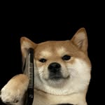 pedrooo.v__ profile picture