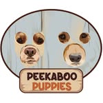peekaboopuppies profile picture