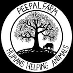 peepalfarm profile picture