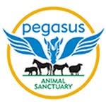 pegasussanctuary profile picture
