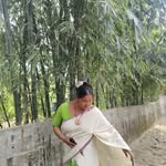 pegu.mainapegu profile picture