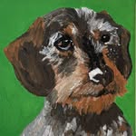peintures_de_wouf profile picture