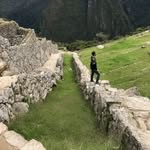 peixe_travel profile picture