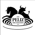 pelizorganisation profile picture