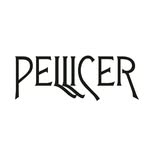 pellicerofficiel profile picture
