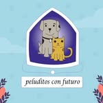 peluditos_con_futuro profile picture