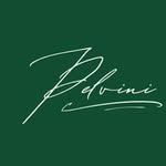 pelviniofficial profile picture