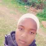 pendo.palmer profile picture