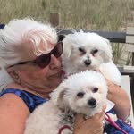 peneolpelbe profile picture