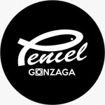 penielgonzaga profile picture