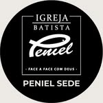 penielsede profile picture