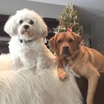 pennyandrikki__johnson profile picture