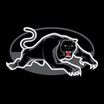 penrithpanthers profile picture