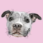 pepper_staffy profile picture