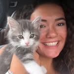 perfect_additions profile picture