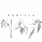 perilladining profile picture