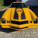 perkoalexander profile picture