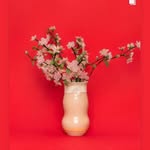 perleplanten profile picture