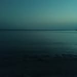 perlin_o profile picture