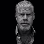 perlmutations profile picture