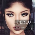 perluimvu profile picture