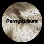 permaculturemusic profile picture