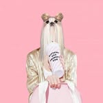 perraruin profile picture