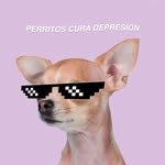 perritoscuradepresion profile picture
