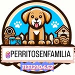 perritosenfamilia profile picture