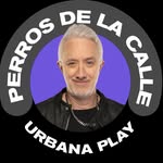 perroscalle profile picture