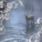 persephone_says profile picture