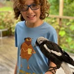 peta_peter_pumpkineater_magpie profile picture
