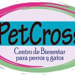 petcross_bogota profile picture
