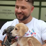 petertzemis profile picture