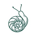 petittroisla profile picture