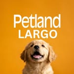 petland_largo profile picture