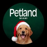 petland_miami profile picture
