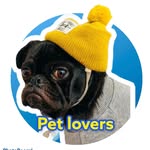 petlovers_insta profile picture