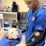 petrescuegreenville profile picture