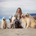 petsculiar profile picture