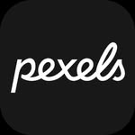 pexels profile picture