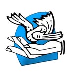pfa.official profile picture