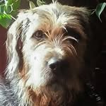 philippeserieys profile picture