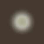 philippkern._ profile picture