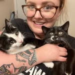 phillykittylady_fosters profile picture