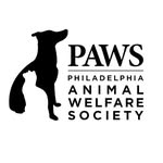 phillypaws profile picture