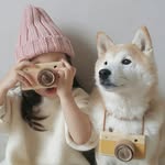 philo_pompon profile picture