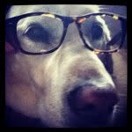 philupondorling profile picture
