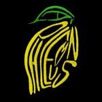 phlemuns profile picture