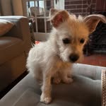 phoebe.nicks profile picture